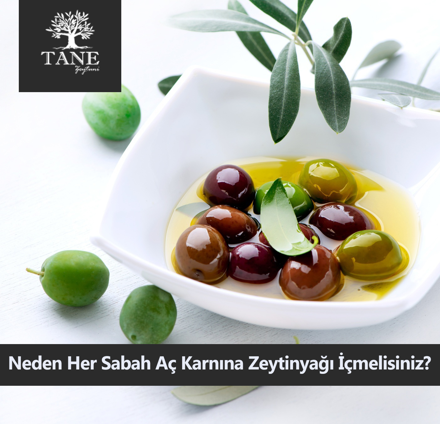 Neden Her Sabah A Karnna Zeytinya melisiniz?